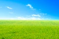 Green meadow under bright Sky