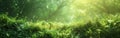 green meadow wallpaper free downloads,