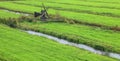 Green meadow on water canals and Dutch traditional small wooden windmill Royalty Free Stock Photo