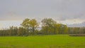 Meadow with rtrees under a cloudy autumn sky with golden sun glow in the Flemish countryside