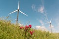 Green meadow with Wind turbines generating electricity Royalty Free Stock Photo