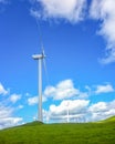 Green meadow with wind turbines generating electricity Royalty Free Stock Photo
