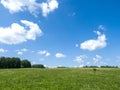 Green meadows and fields. White clouds in the blue sky