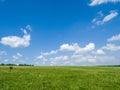 Green meadows and fields. White clouds in the blue sky Royalty Free Stock Photo