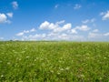 Green meadows and fields. White clouds in the blue sky Royalty Free Stock Photo
