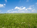 Green meadows and fields. White clouds in the blue sky Royalty Free Stock Photo