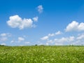 Green meadows and fields. White clouds in the blue sky Royalty Free Stock Photo