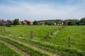 Green meadows and houses at the Flemish countryside around Halen, Belgium