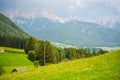 Green meadows with mountains and forest on backgound at sunset in summer, Italy Royalty Free Stock Photo