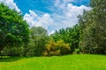 Green meadows and forests, large trees with bright skies and clouds