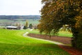 Green meadows and a pathway in the wood