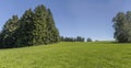 green meadows and trees near shore at Rottachsee Alpine lake, Oy-Mittelberg, Germany