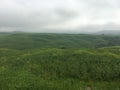 Green meadows of Tuscany on a clowdy day