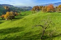 Green meadows and typical Switzerland village near town of Interlaken Royalty Free Stock Photo