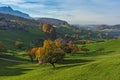 Green meadows and typical Switzerland village near town of Interlaken Royalty Free Stock Photo