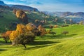 Green meadows and typical Switzerland village near town of Interlaken Royalty Free Stock Photo