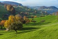 Green meadows and typical Switzerland village near town of Interlaken Royalty Free Stock Photo