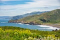 Meadows and view of the Pacific Ocean at Point Bonita, California, USA Royalty Free Stock Photo