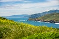 Meadows and view of the Pacific Ocean at Point Bonita, California, USA Royalty Free Stock Photo