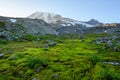 Green Meadows in Washington below Mount Rainier Royalty Free Stock Photo