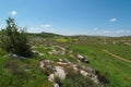 Green Mediterranean valley among hills in spring Royalty Free Stock Photo