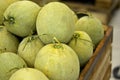 Green melon in crate at supermarket