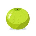 Green melon fruit flat icon vector illustration, isolated on white background