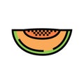 green melon seeds slice cantaloupe color icon vector illustration Royalty Free Stock Photo