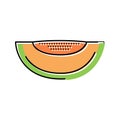green melon seeds slice cantaloupe color icon vector illustration Royalty Free Stock Photo