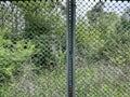 Green mesh chainlink fence with post Royalty Free Stock Photo