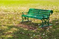 Green metal bench place on green lawn grass meadow field surrounded with dried pink flower fall from the trees in public park. Royalty Free Stock Photo