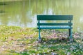 Green metal bench place on green lawn grass meadow field surrounded with dried pink flower fall from the trees in public park. Royalty Free Stock Photo