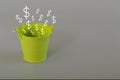 Green metal bucket with money symbols. Symbolising funds raising