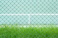 Green metal cage front the green tennis court and wall for practice Royalty Free Stock Photo