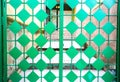 Green metal doors. Rhombic pattern. Old vintage style