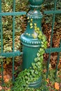 Green metal ornate fence with climbing plants