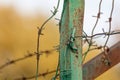 Green metal rusty fence with barbed wire Royalty Free Stock Photo