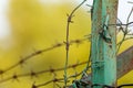 Green metal rusty fence with barbed wire Royalty Free Stock Photo