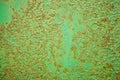 Green metal texture with patches of rust steel on its surface, taken outdoor. The pattern of an old painted metal Royalty Free Stock Photo