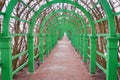 Green metal tunnel in garden, metal green frame Royalty Free Stock Photo