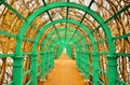 Green metal tunnel in garden, metal green frame Royalty Free Stock Photo