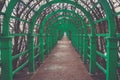 Green metal tunnel in garden, metal green frame Royalty Free Stock Photo