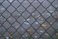 Green metal wire fence with rhombuses in park, view on asphalt through it