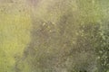 Green metallic sheet grungy backdrop Royalty Free Stock Photo