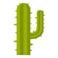 Green mexican cactus icon isolated