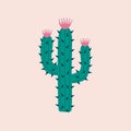 Green Mexican cactus with pink flowers hand drawn vector illustration. Isolated peyote in flat style for logo.