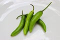 Green mexican spicy chili pepper green isolated