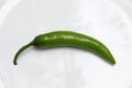 One single Green mexican spicy chili pepper isolated