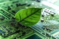 Green micro chip on circuit board and green leaves. Ecological concept. Royalty Free Stock Photo