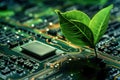 Green micro chip on circuit board and green leaves. Ecological concept. Royalty Free Stock Photo